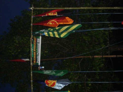 DSC09995_1